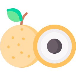 longan icon