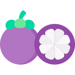 mangostan icon