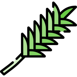 Tarragon icon