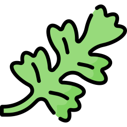 Chervil icon