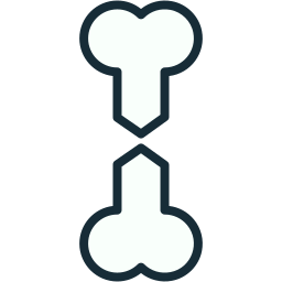 fracture Icône