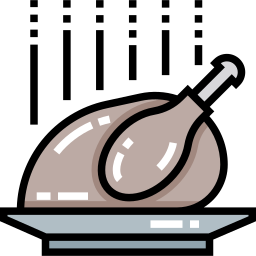 Turkey icon