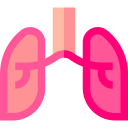 Lungs icon