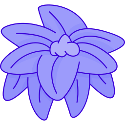 Poinsettia icon