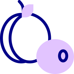 Plum icon