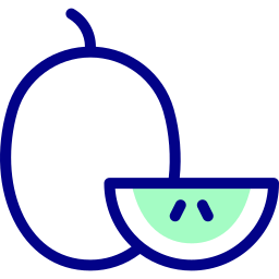 Honeydew melon icon