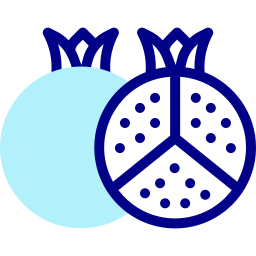 Pomegranate icon