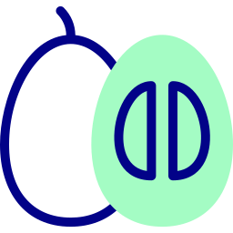 Sapodilla icon