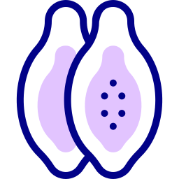 Papaya icon