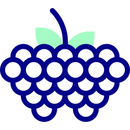 Grapes icon