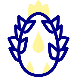 Dragon fruit icon