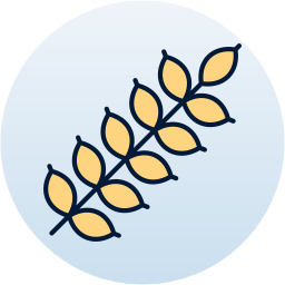 Wheat icon