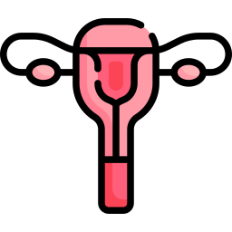 Uterus icon