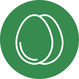 ei icon