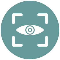 Vision icon