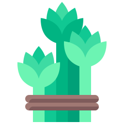 Asparagus icon