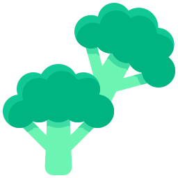 Broccoli icon