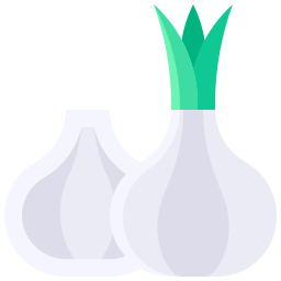 Onion icon