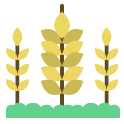 Wheat icon