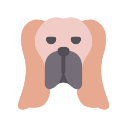 Basset Hound icon