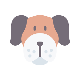 Boxer icon