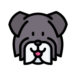 zwergschnauzer icon