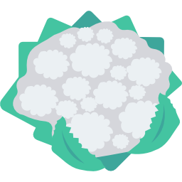 blumenkohl icon