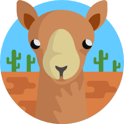 Camel icon