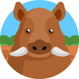 Boar icon