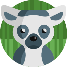 lemur icon