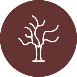 trockener baum icon