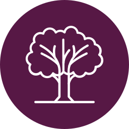 Tree icon