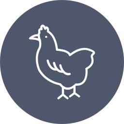 Chicken icon