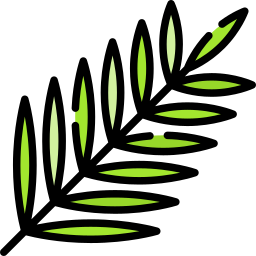 Palm icon