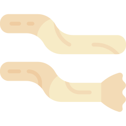 Miswak icon