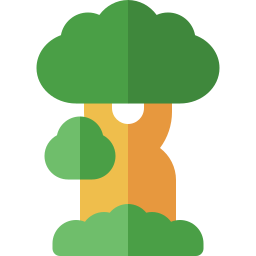 baobab icon