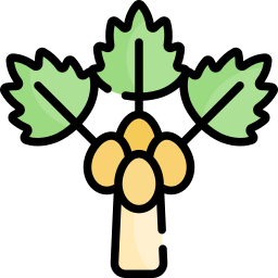 papaya icon