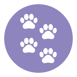 Paw icon