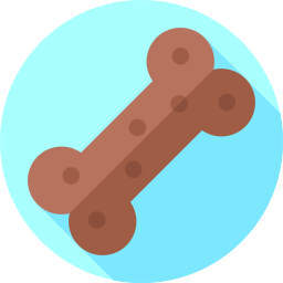 Dog biscuit icon