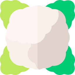 blumenkohl icon