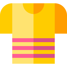 Shirt icon