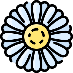 Daisy icon