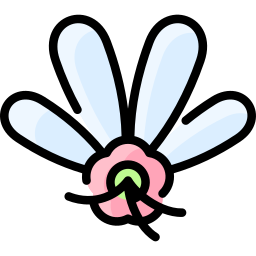 Coriander icon