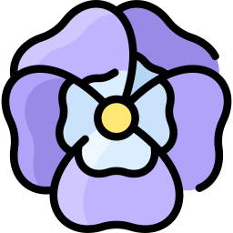 Pansy icon