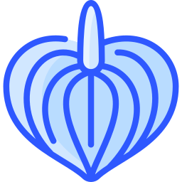 Anthurium icon