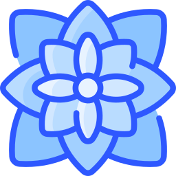 Poinsettia icon