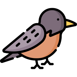 Robin icon