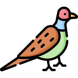 Pheasant icon