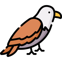 Hawk icon