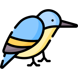 Kingfisher icon